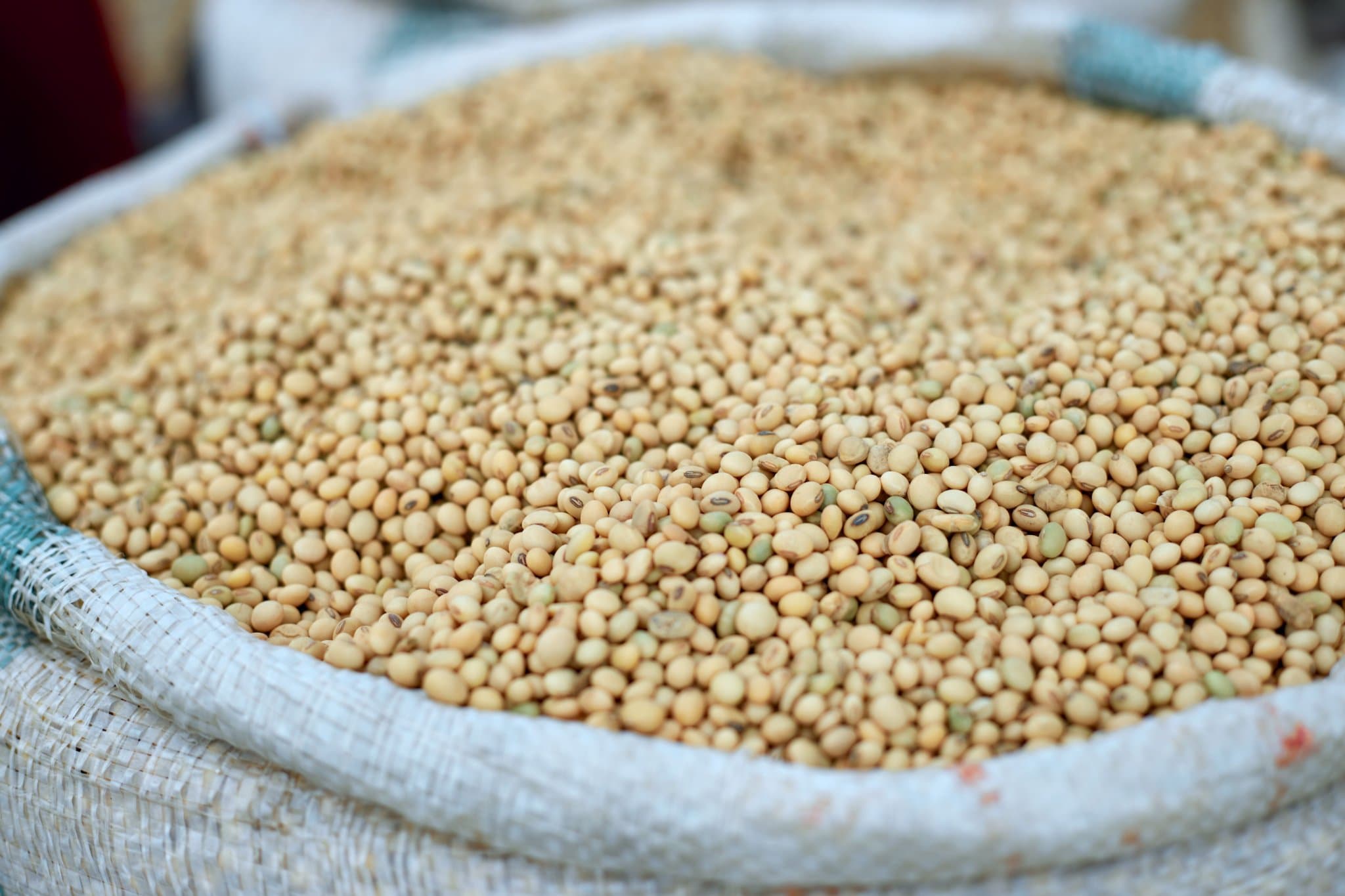 Soybeans from the DB Plus warehouse